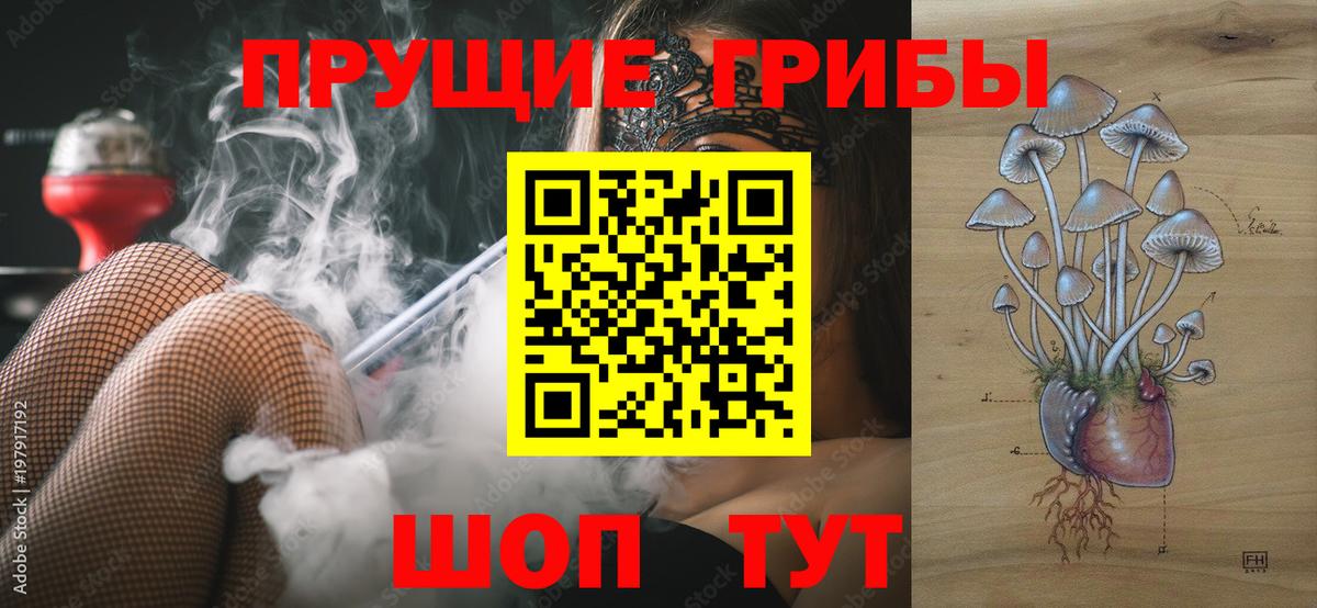 Галлюциногенные грибы GOLDEN TEACHER Куйбышев