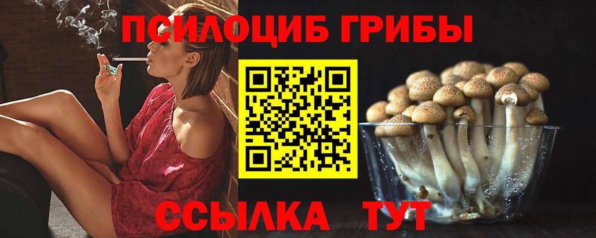 Куйбышев  Галлюциногенные грибы мицелий  Вход с VPN 